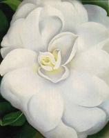 O Keeffe, Georgia - White Camelia